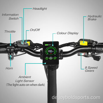 Enduro Kleines faltbares elektrisches Mountainbike